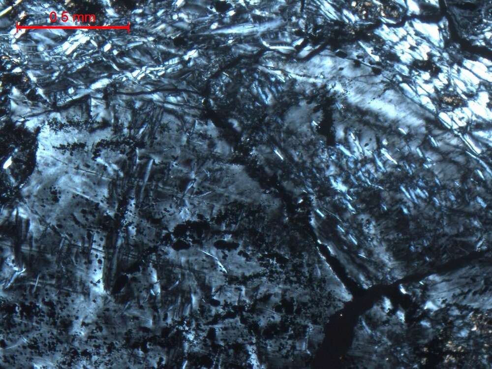 全蛇纹石化含辉纯橄岩