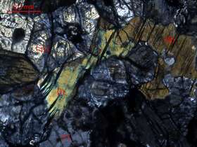 蚀变细粒橄榄岩
