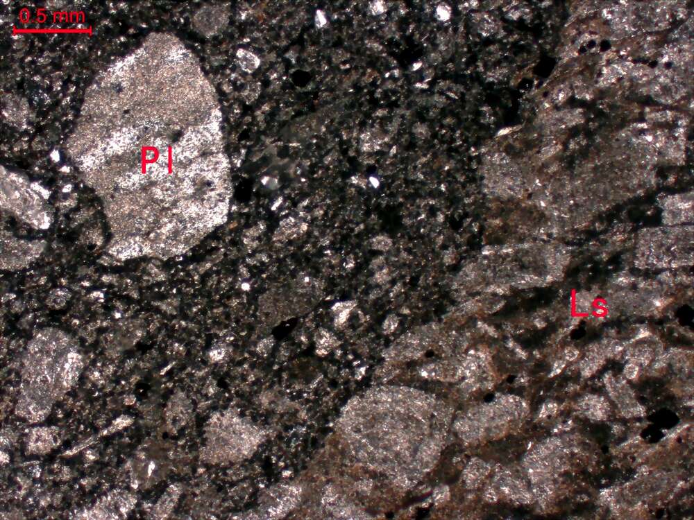 蚀变含砾岩屑砂岩