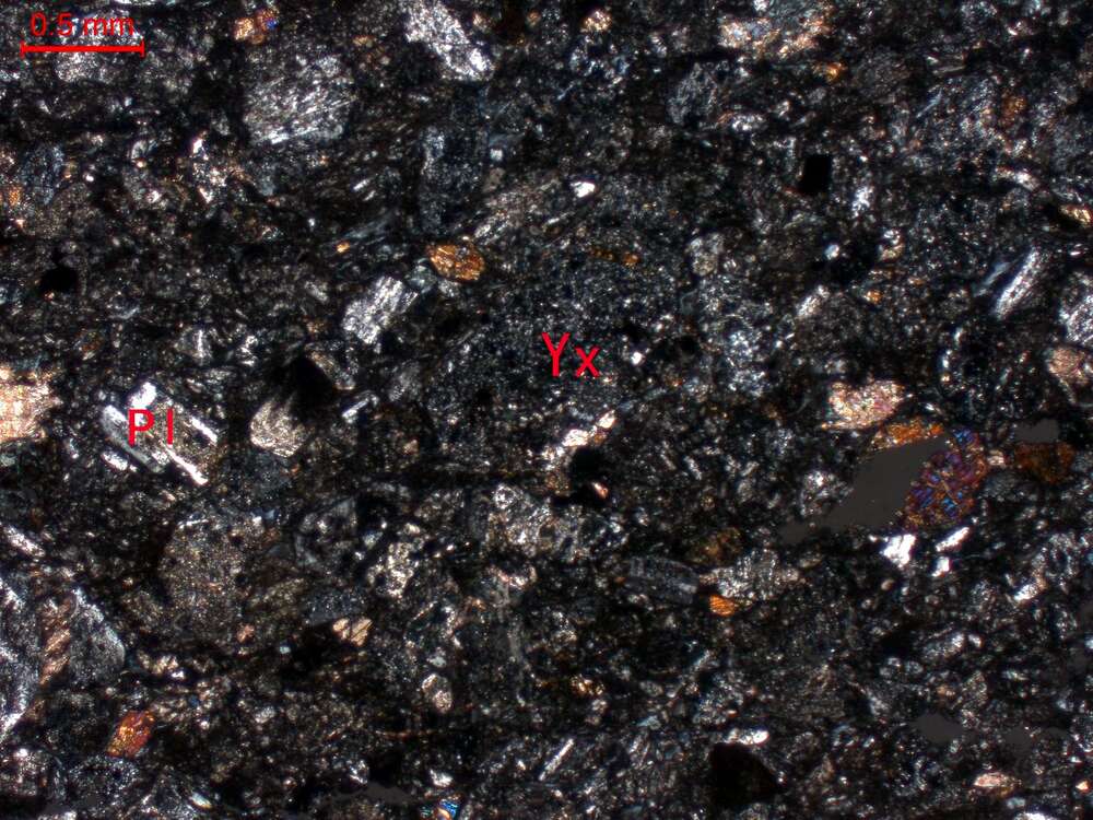 蚀变中粗粒长石岩屑砂岩