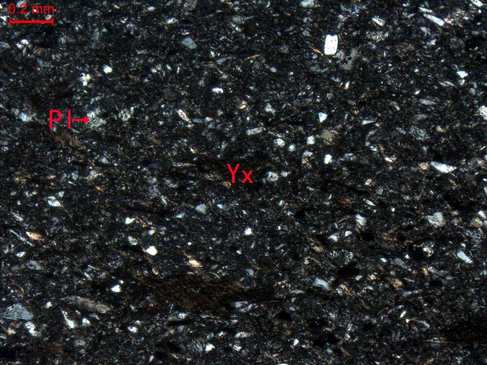 蚀变细粒长石岩屑砂岩