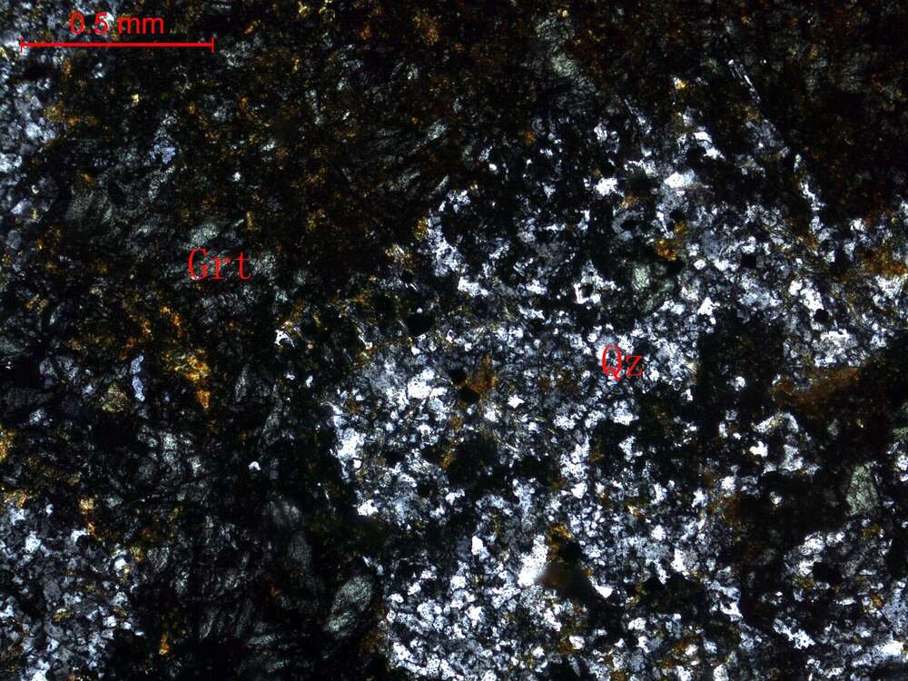 蚀变黑云母化石榴石矽卡岩