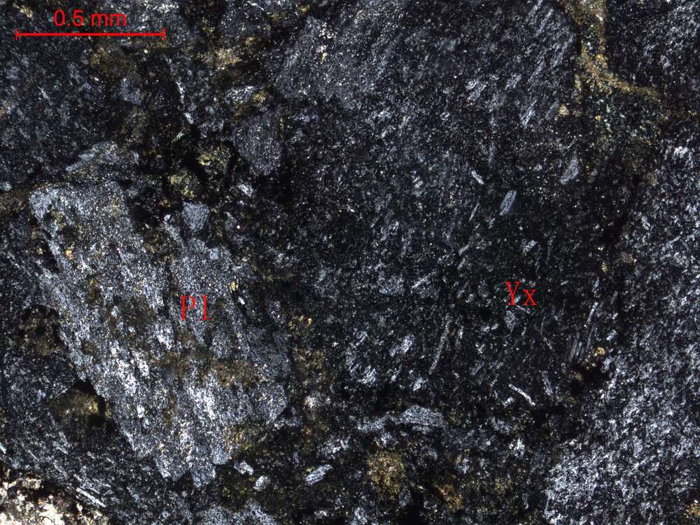 碎裂蚀变含砾中粗粒岩屑砂岩