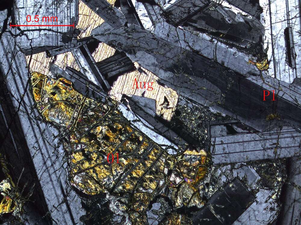 蚀变中-细粒橄榄辉长岩