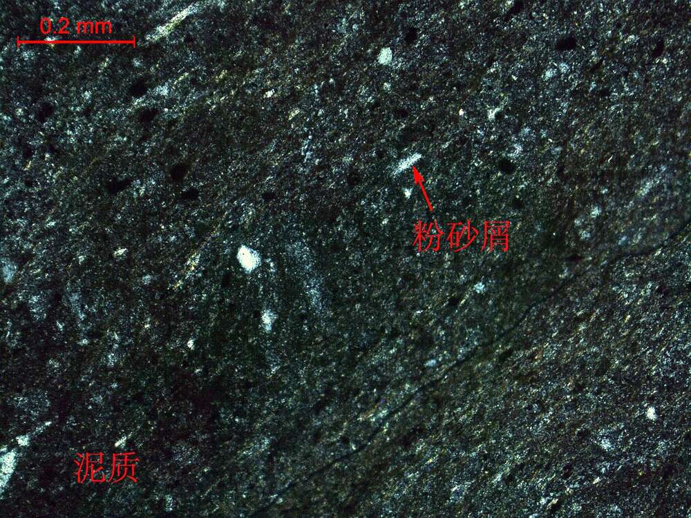 含凝灰质粉砂质泥岩