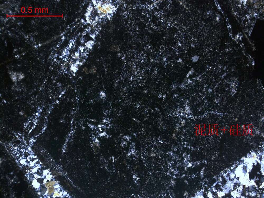 碎裂蚀变含砂屑泥硅质岩