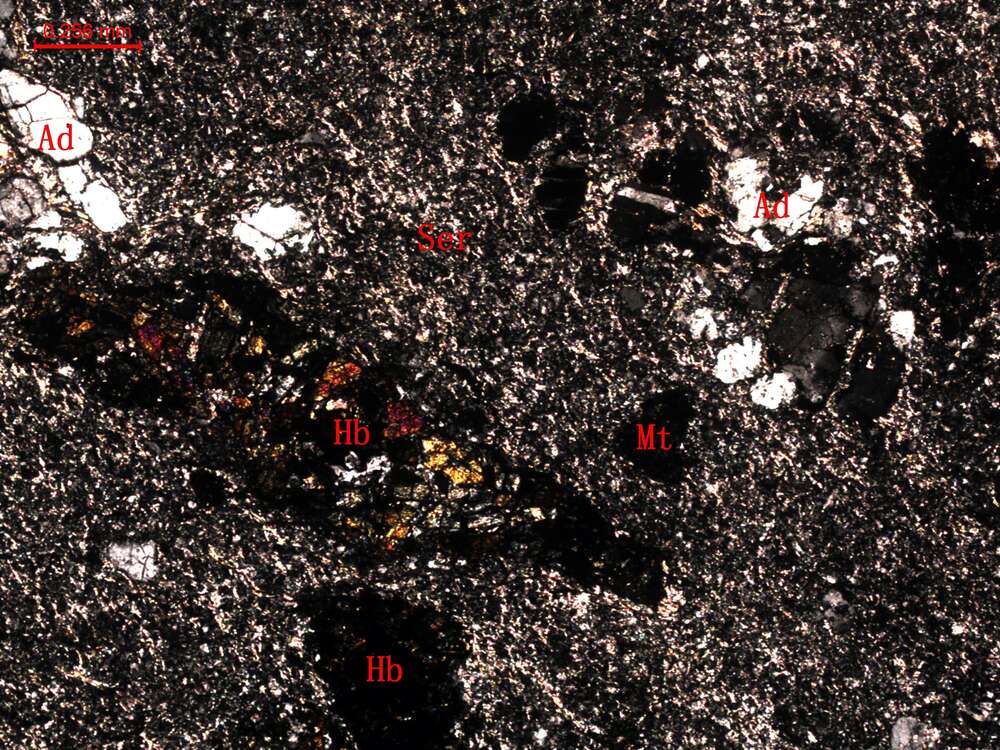 受构造挤压片理化英安岩