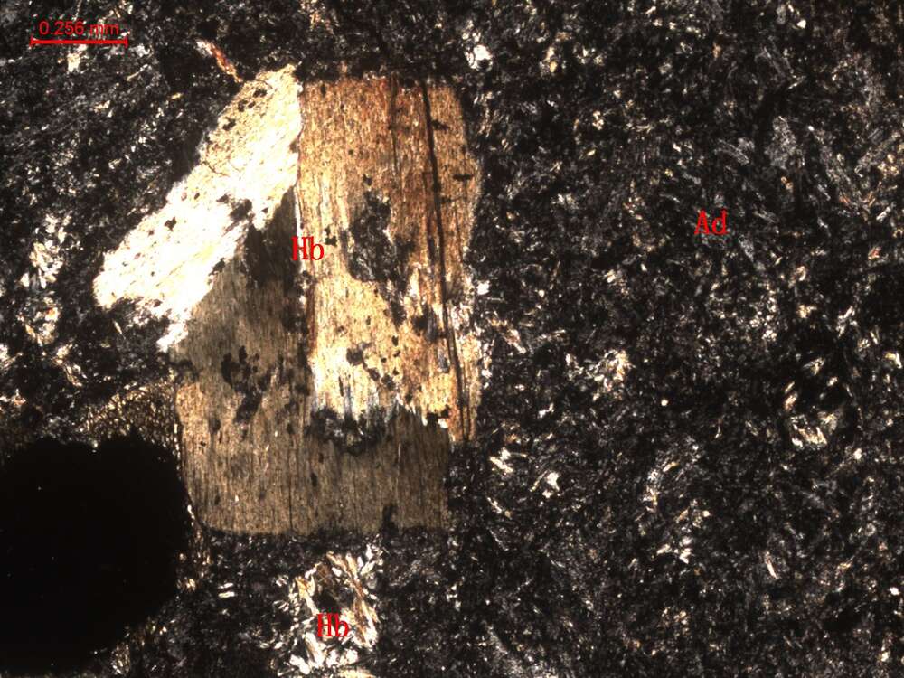 闪长玢岩