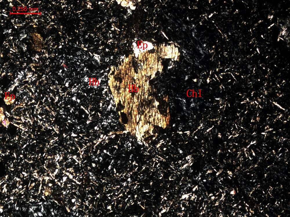 青盘岩化闪长玢岩