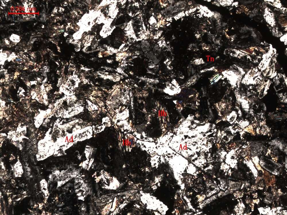 细粒闪长岩