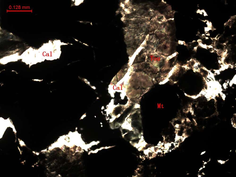 稠密浸染状磁铁矿矿石