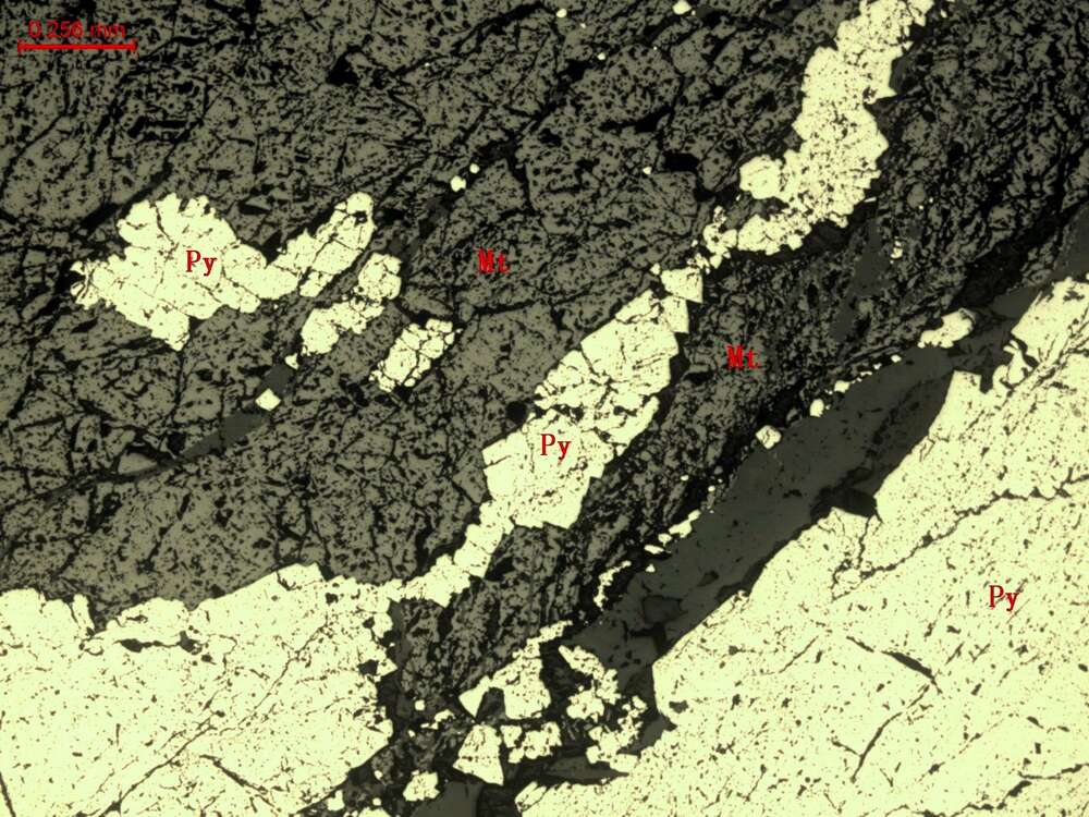 稠密浸染状黄铁矿、磁铁矿矿石
