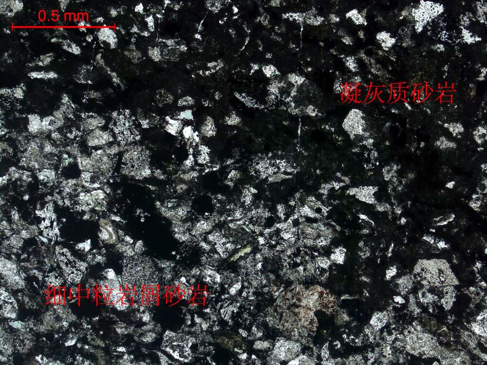 纹层状细中粒岩屑砂岩、凝灰质砂岩互层