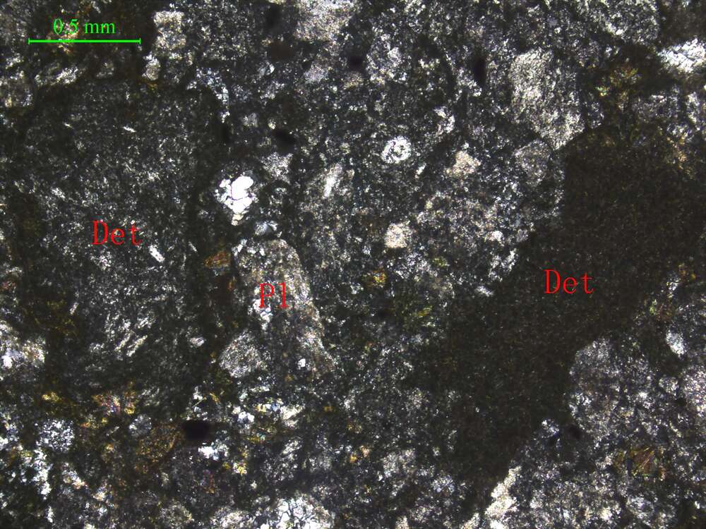 蚀变凝灰质粗粒岩屑砂岩