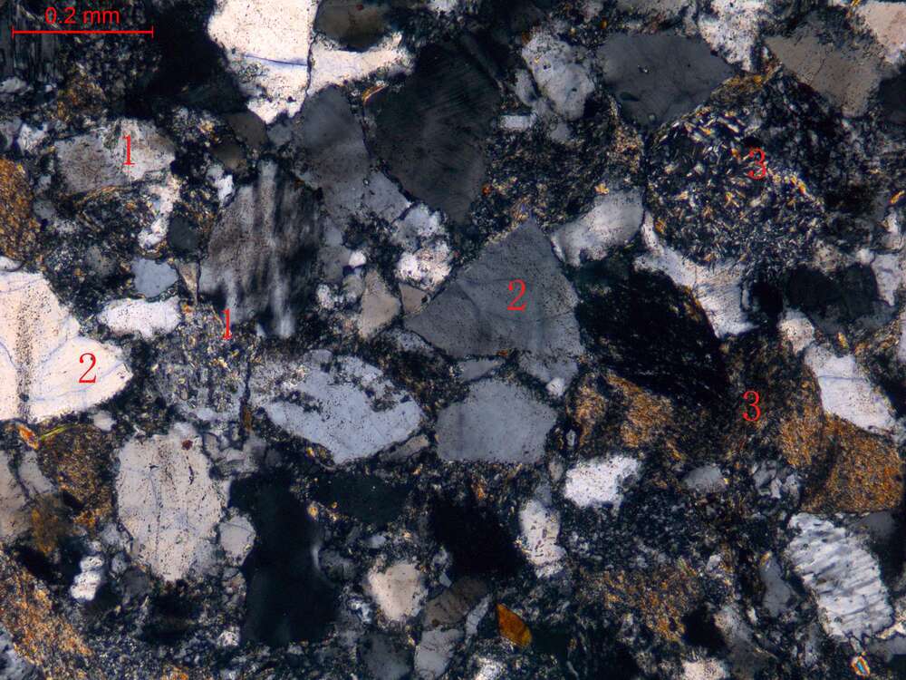 中细粒岩屑长石砂岩