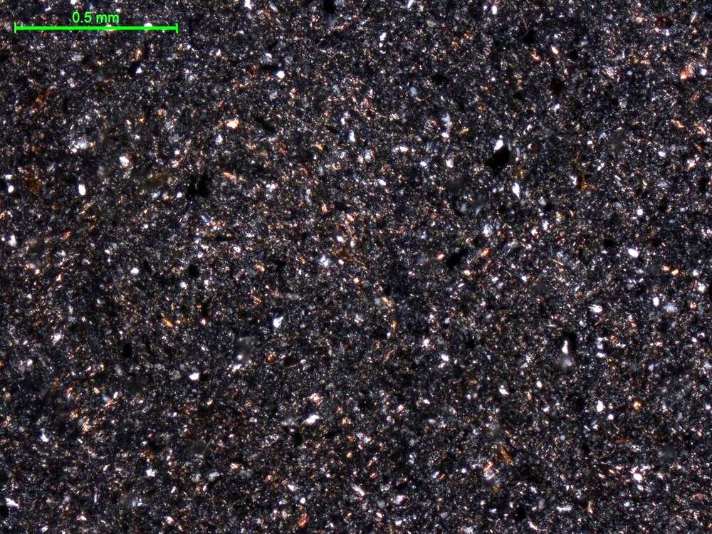 变泥质粉砂岩