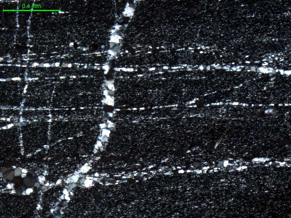 碎裂变质泥硅质岩