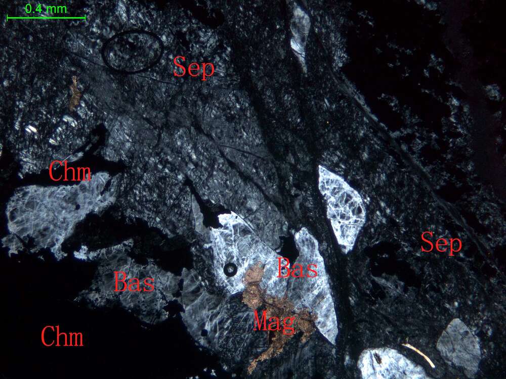 全蛇纹石化斜辉辉橄岩