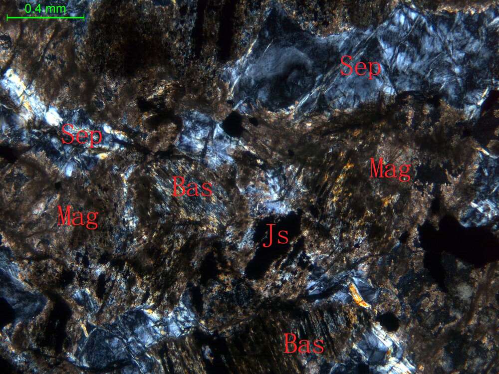 全蛇纹石化、碳酸盐化斜辉辉橄岩