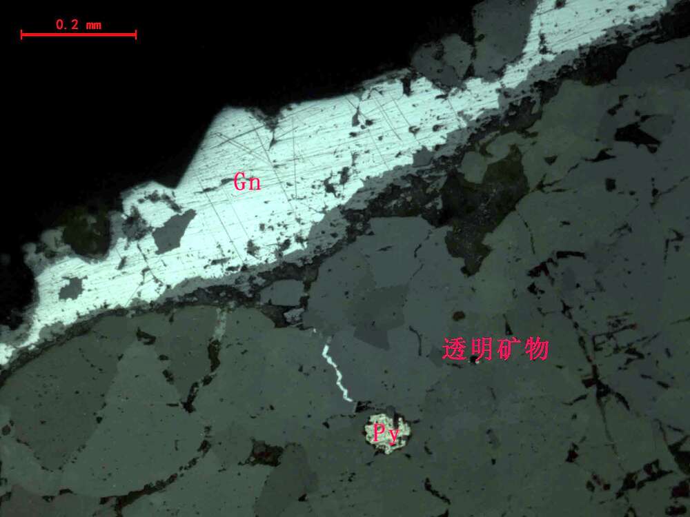 铅矿化白云岩