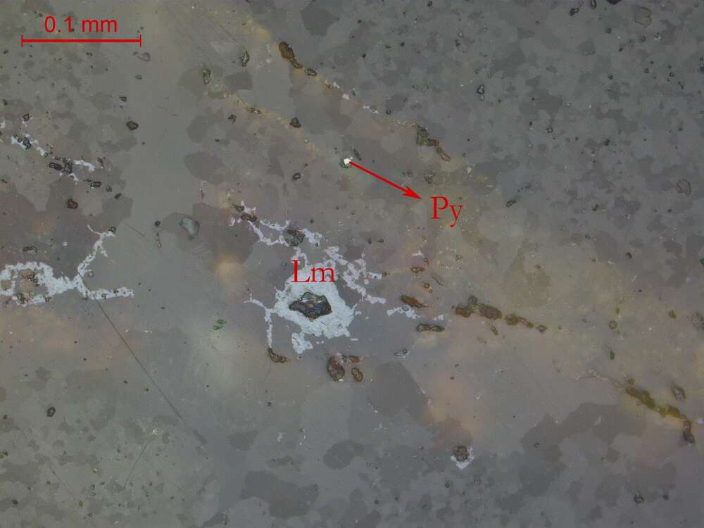 碎裂化亮晶砂屑灰岩