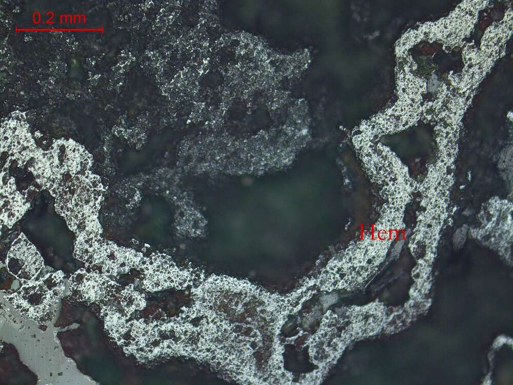 含锰赤铁矿化亮晶砂屑灰岩