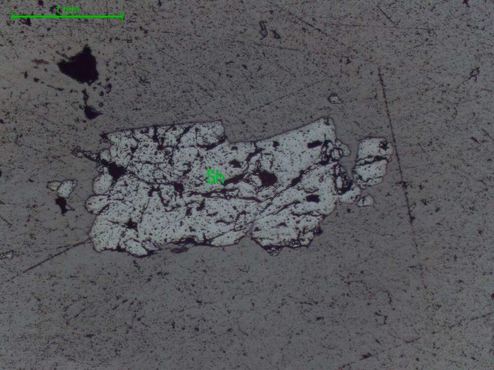 稀疏浸染状白钨矿矿石