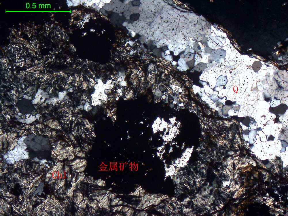 含碳酸盐绿泥石石英岩（脉）