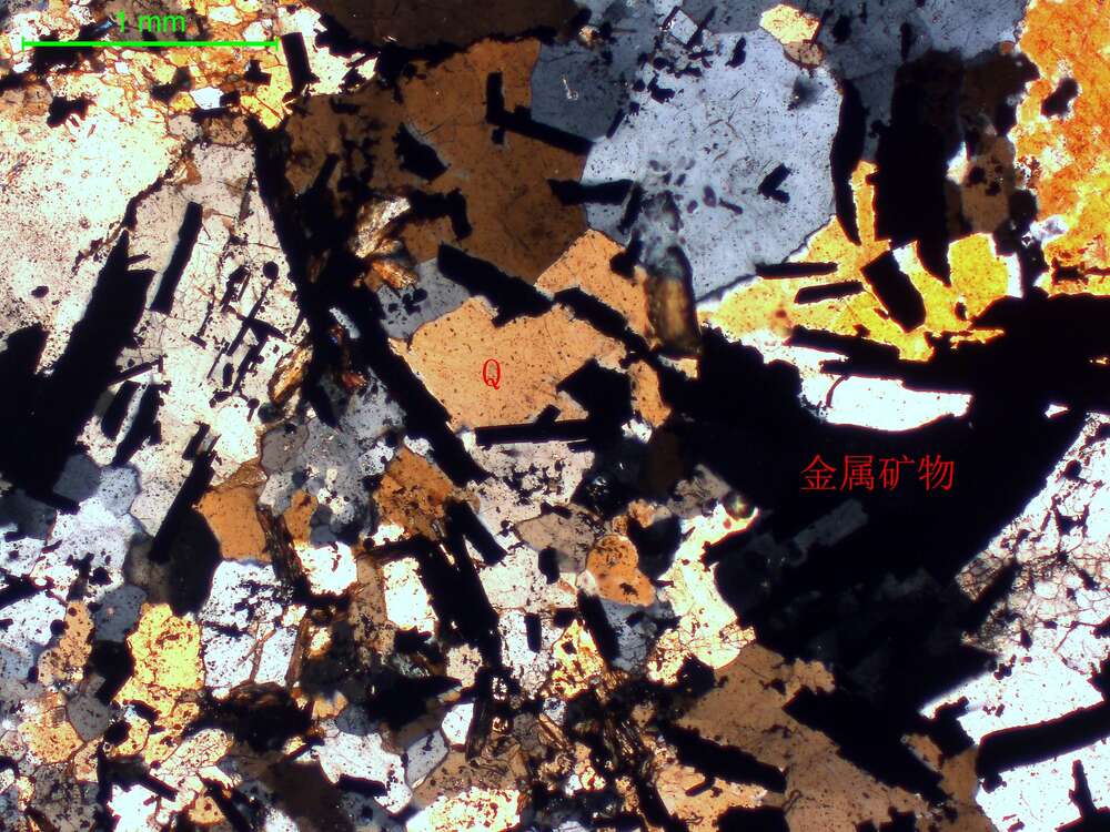 含绢云母绿泥石金属矿化石英岩（脉）