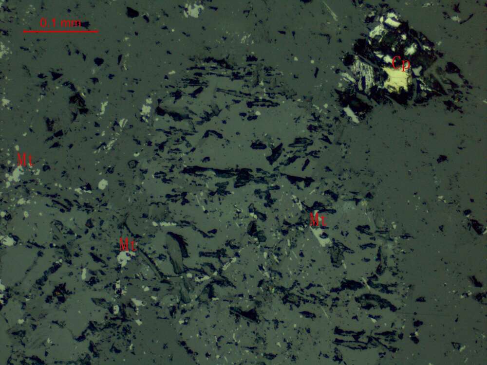 黄铁矿、黄铜矿、钛铁矿、磁铁矿
