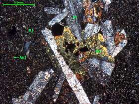 蚀变玄武质安山岩