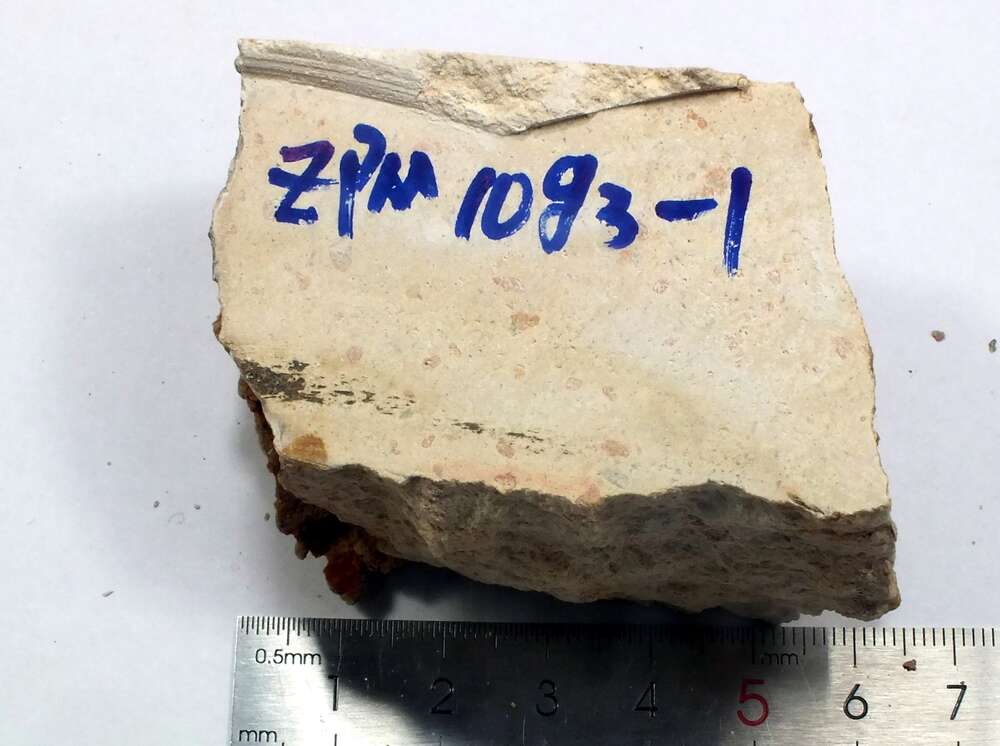 蚀变霏细岩 