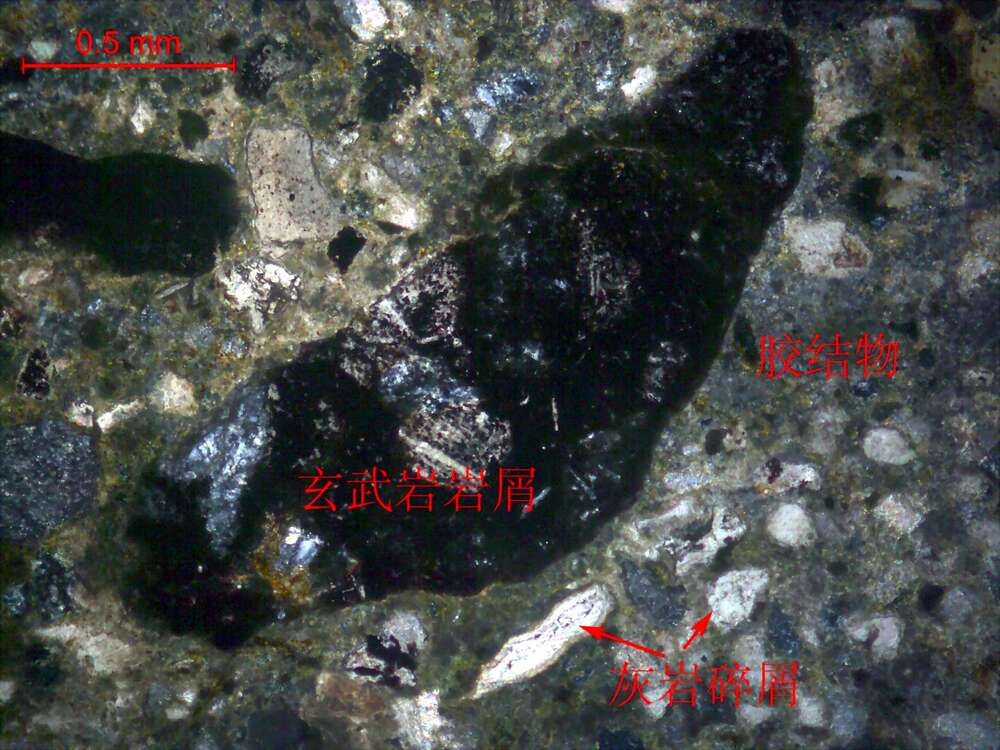 泥钙质不等粒砂岩