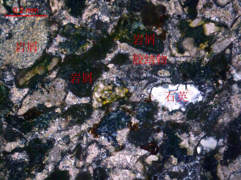 钙质中细粒岩屑砂岩