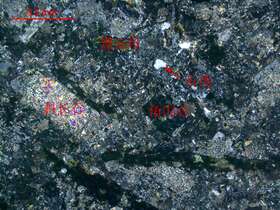 蚀变石英闪长岩