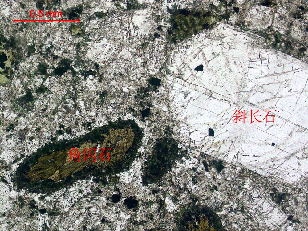 蚀变闪长玢岩