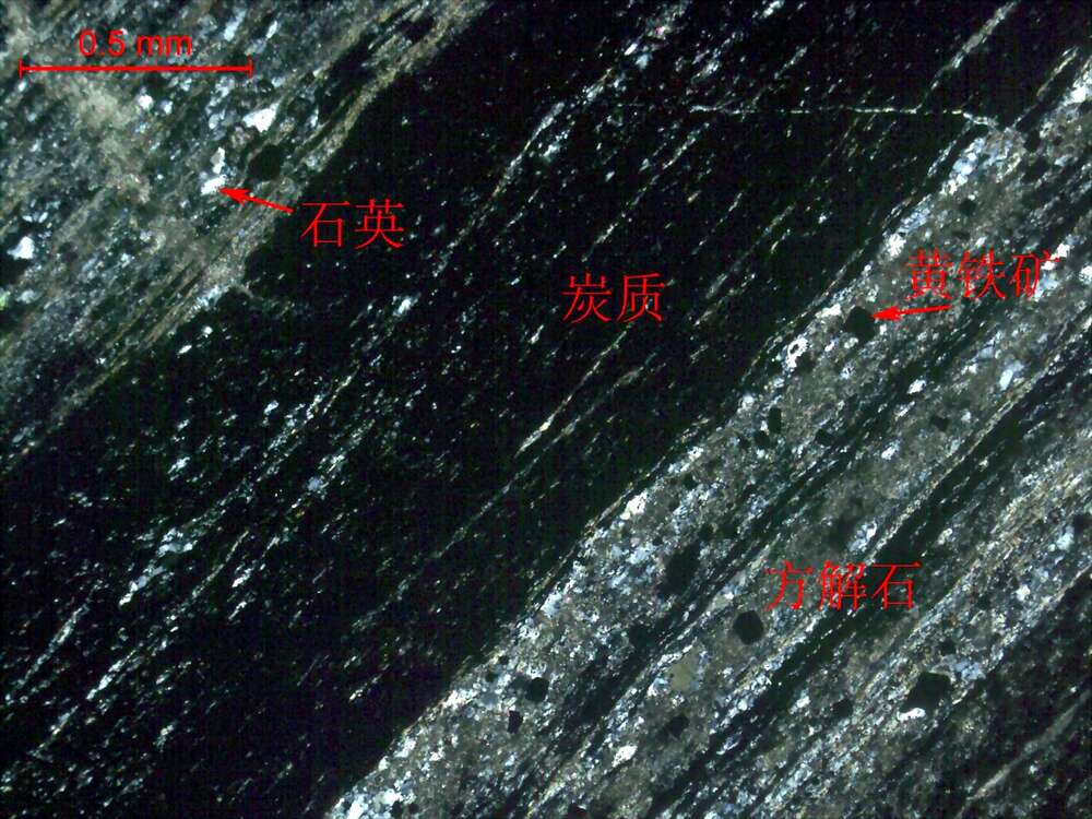 炭质板岩