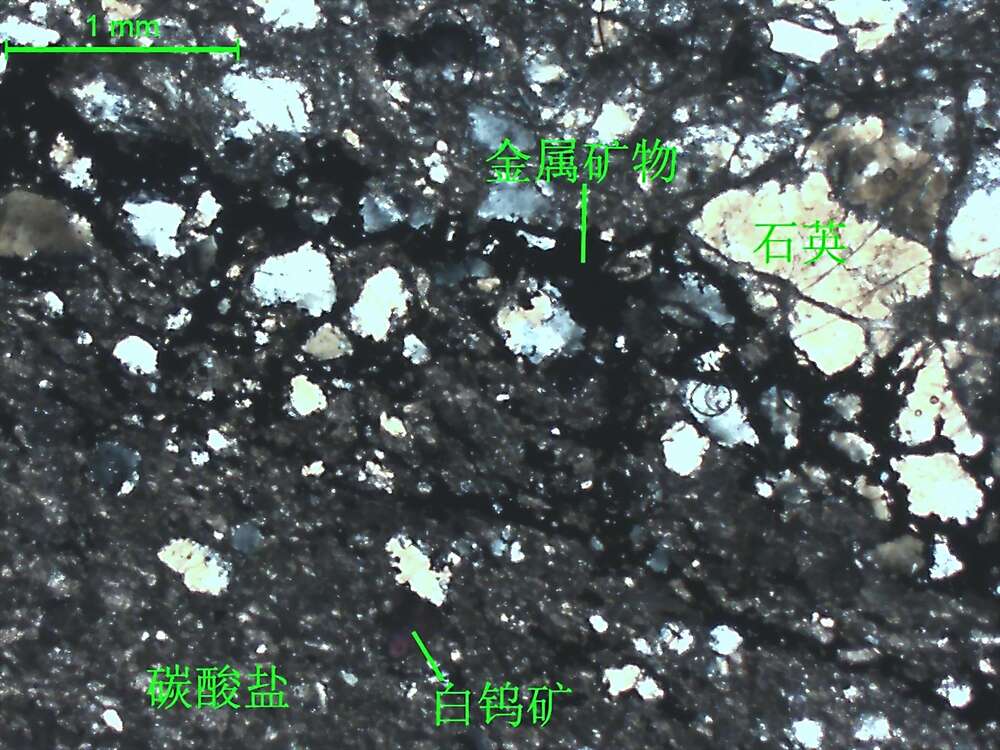 碎裂化碳酸盐、石英岩