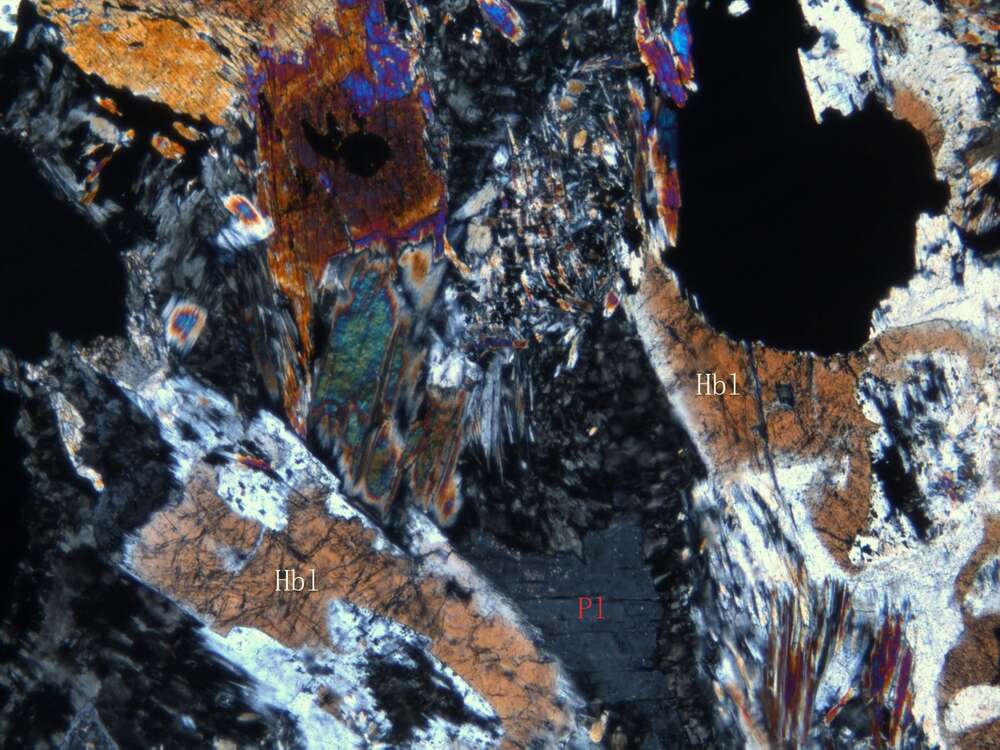 矿化蚀变细粒角闪辉长岩（纤闪石化）