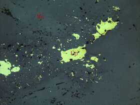 黄铜矿化中细粒石英辉石闪长岩