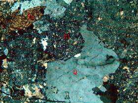 中细粒石英闪长岩