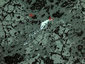 黄铁矿化火山灰凝灰岩