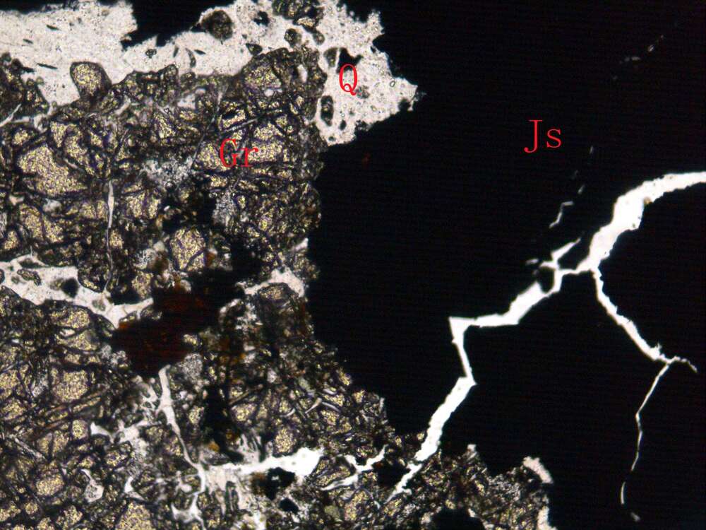 磁铁矿化石榴石矽卡岩