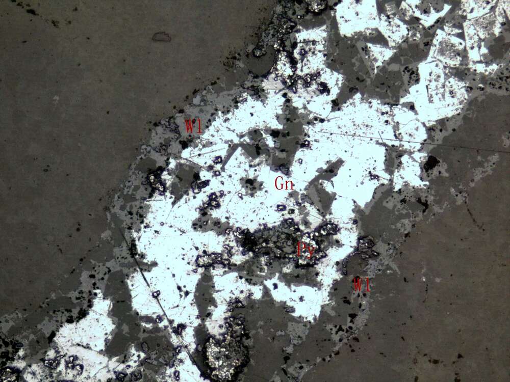 铅矿化泥晶灰岩