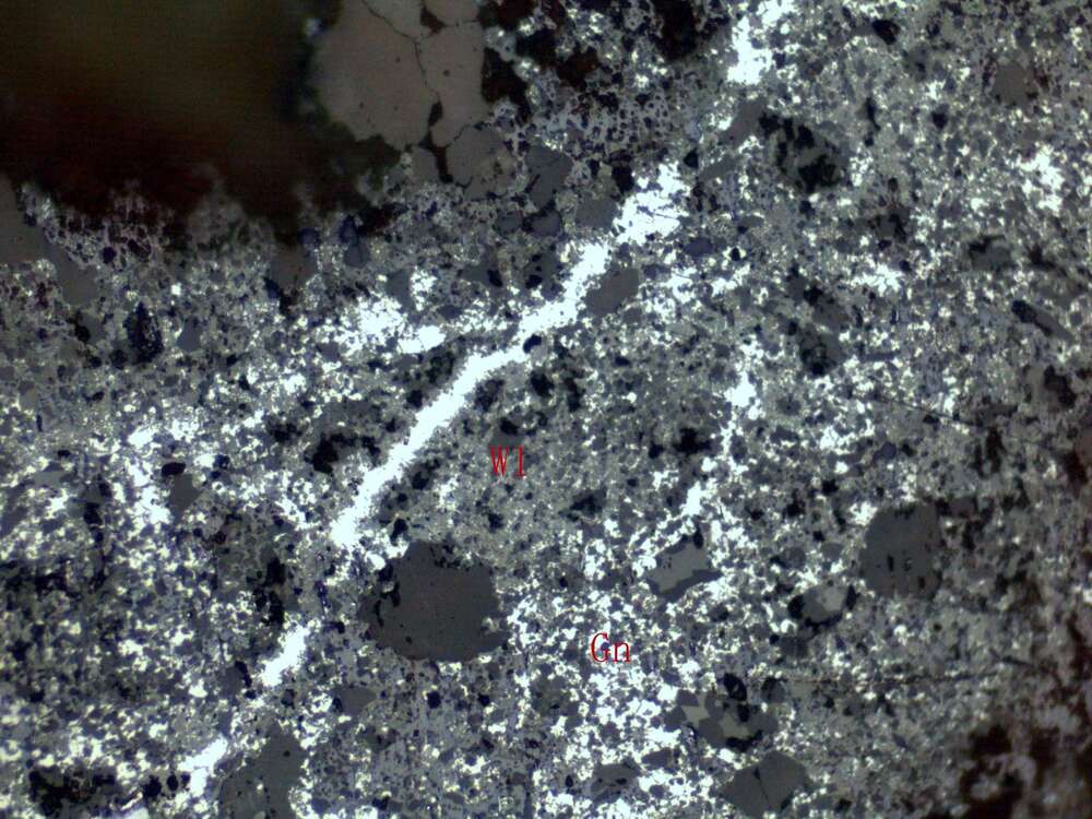 氧化铅矿矿石（泥晶灰岩）