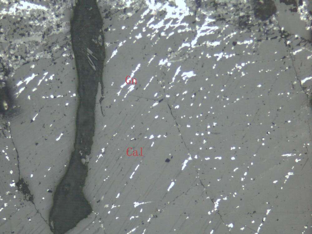 氧化铅矿石（泥晶灰岩）