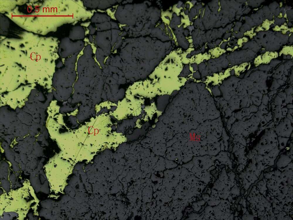 铜矿化石榴石矽卡岩