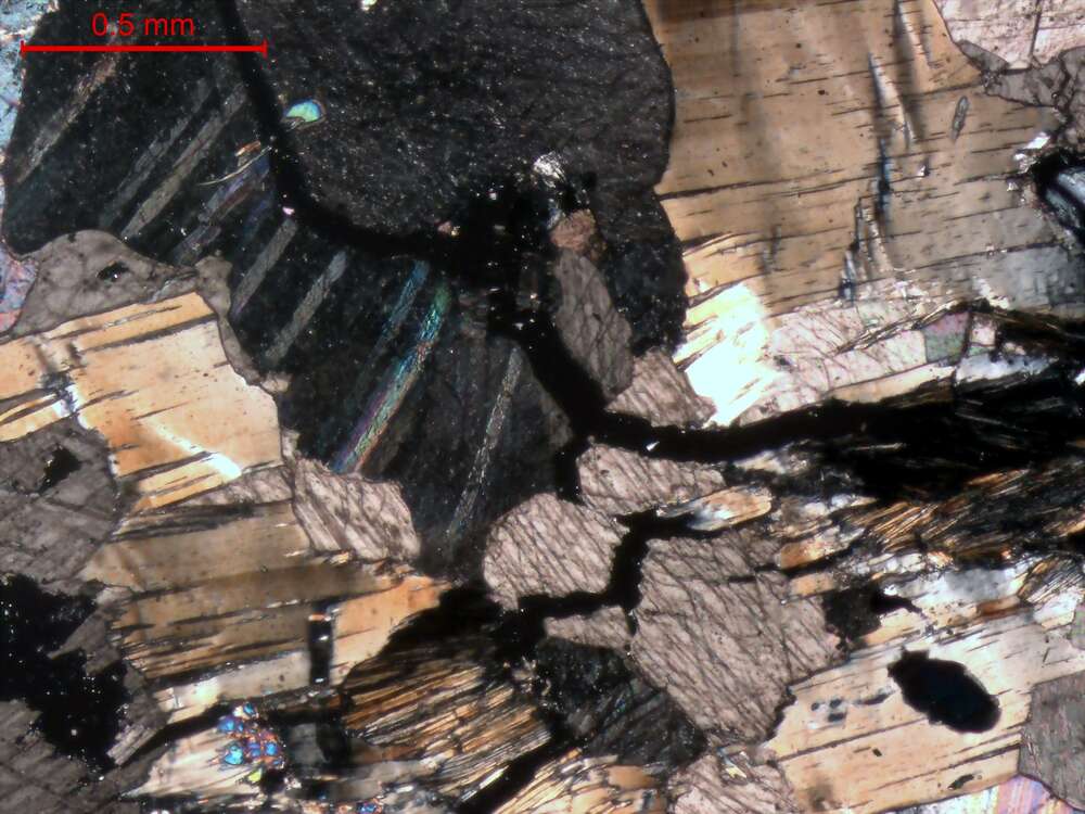 含硅镁石石榴石大理岩