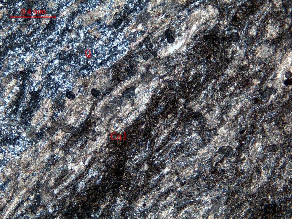 硅化生物碎屑灰岩