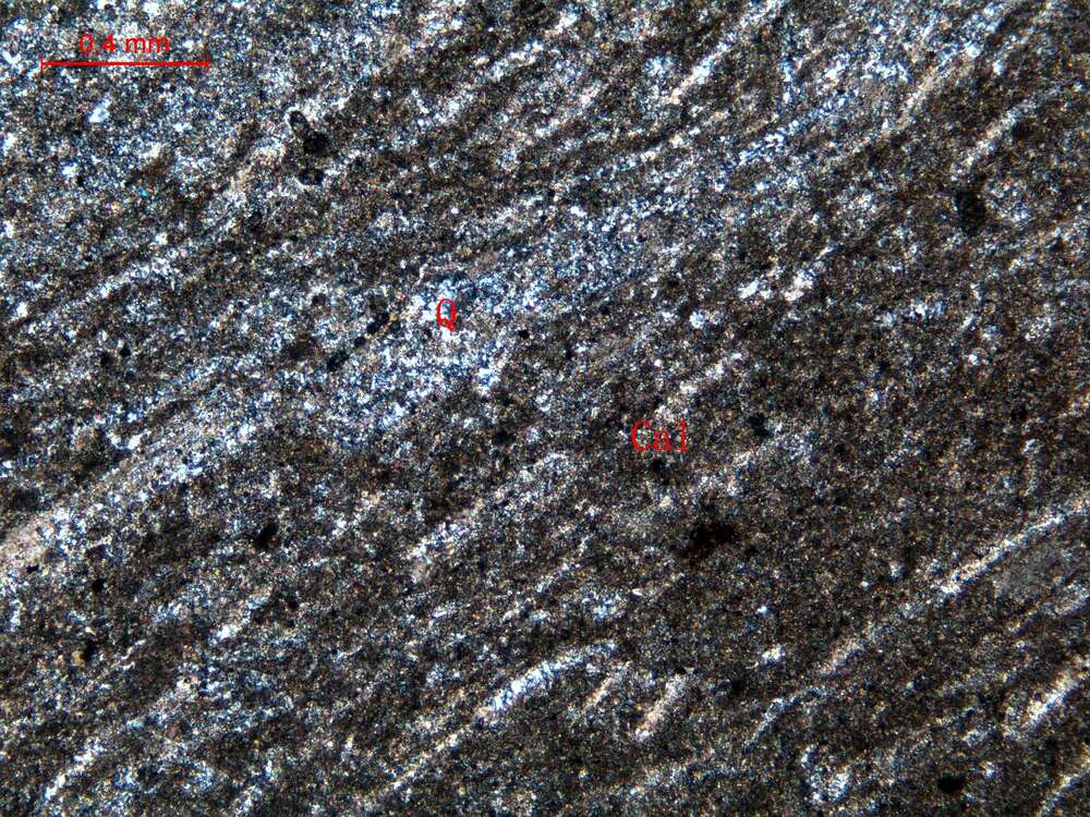 白云石化、硅化含生物碎屑微晶-泥晶灰岩